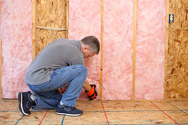 Types of Insulation We Offer in Ricardo, TX